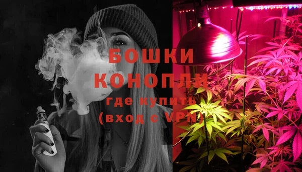 хмурый Видное