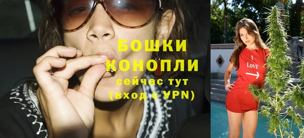 тгк Нея