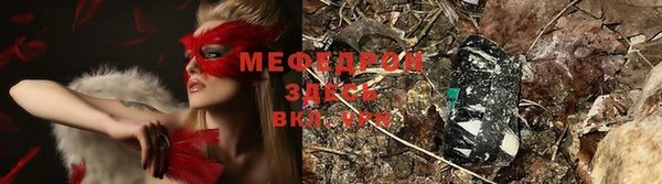 тгк Нея