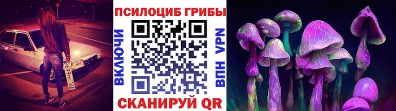 Галлюциногенные грибы MAGIC MUSHROOMS  Кувшиново 