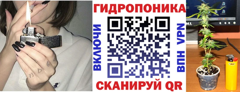 Канабис VHQ  сколько стоит  Кувшиново 